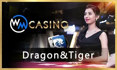 24/7 Customer Support at gamezone